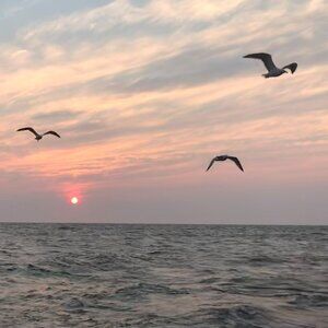 Meet your Posher, Jamie